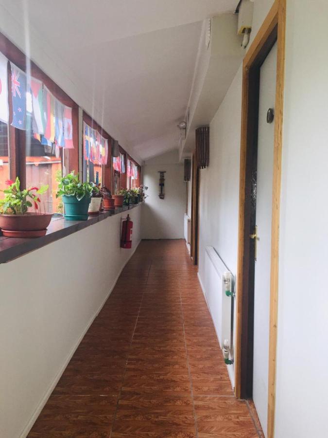 Hospedaje Irma Backpackers Pucon Luaran gambar